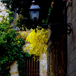 Ruelles avec plantes et un luminaire - France  - collection de photos clin d'oeil, catégorie rues